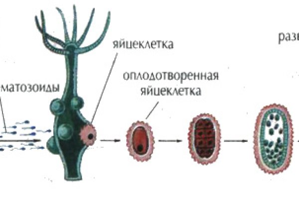 Даркнет рабочие ссылки